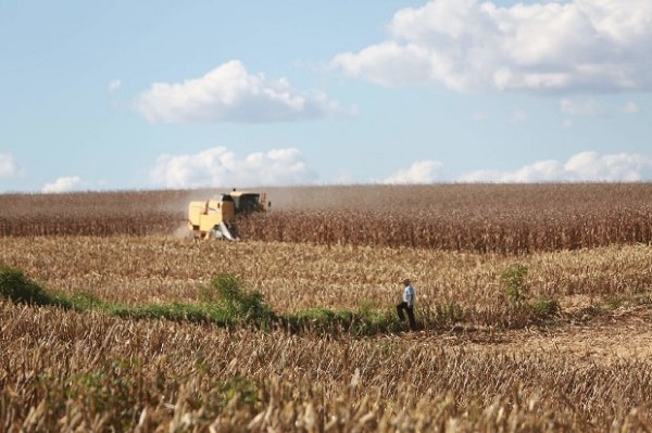 Departamento de Agricultura dos Estados Unidos destaca investimentos de SC em grãos