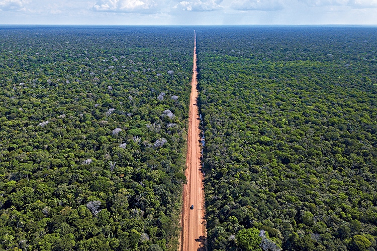 Projeto vai recuperar pontos impactados pelas obras da BR-319, ligação do Amazonas com o Brasil